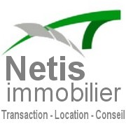 Netis immobilier